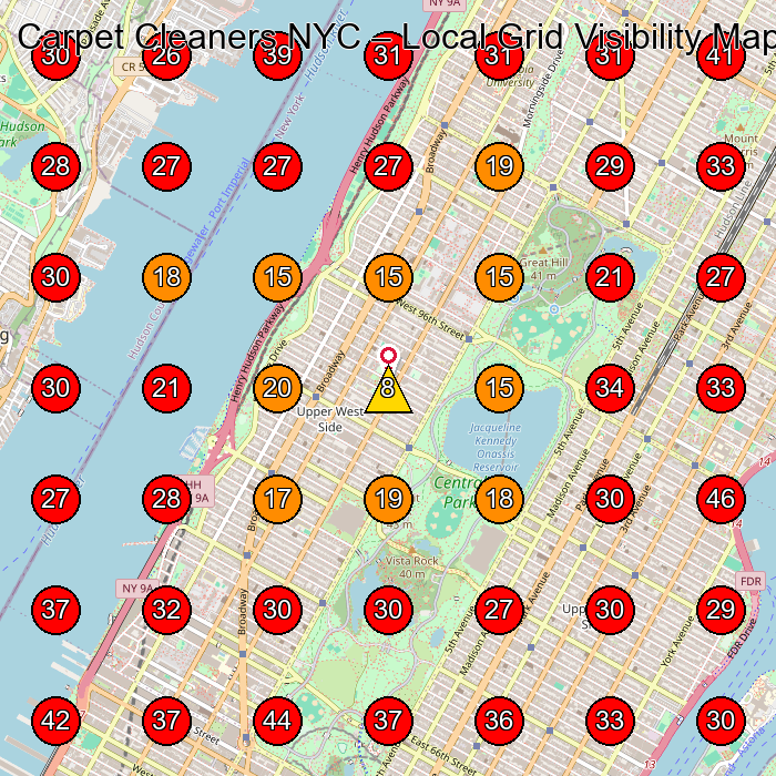 Carpet Cleaners NYC GeoGrid visibility map for Carpet Cleaning Service in None